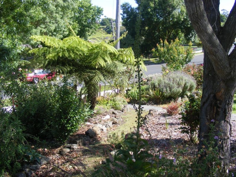 Korumburra VIC 3950