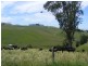 Korumburra VIC 3950