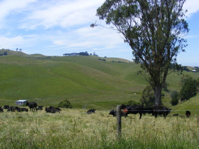 Korumburra VIC 3950