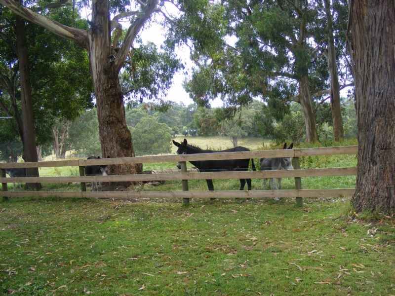Korumburra VIC 3950