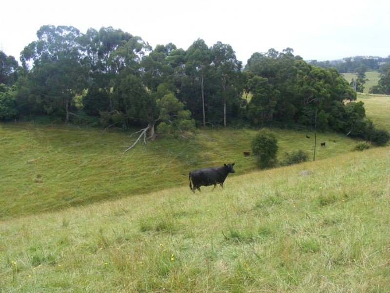 Korumburra VIC 3950