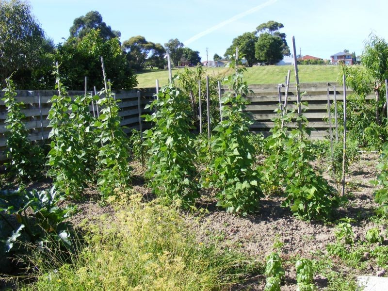 Korumburra VIC 3950