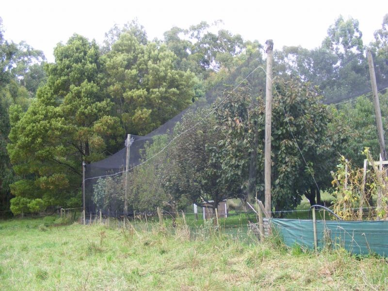 Korumburra VIC 3950