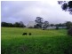 Korumburra VIC 3950