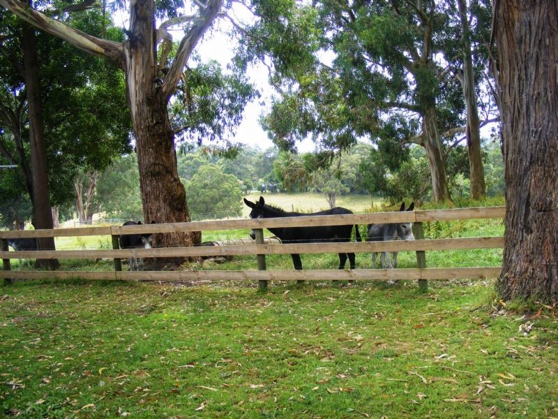 Korumburra VIC 3950
