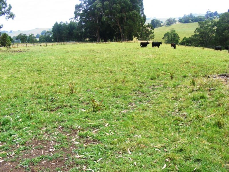 Korumburra VIC 3950