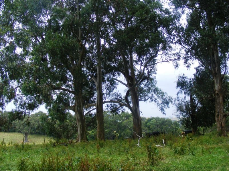 Korumburra VIC 3950