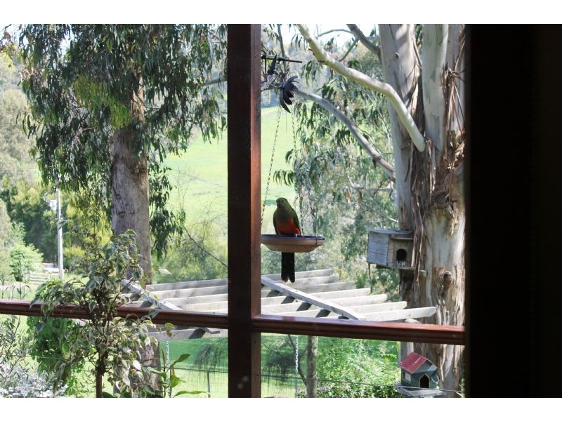 Korumburra VIC 3950