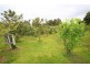 Korumburra VIC 3950