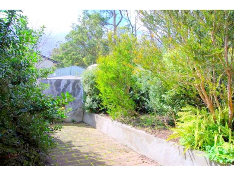 The Gurdies VIC 3984