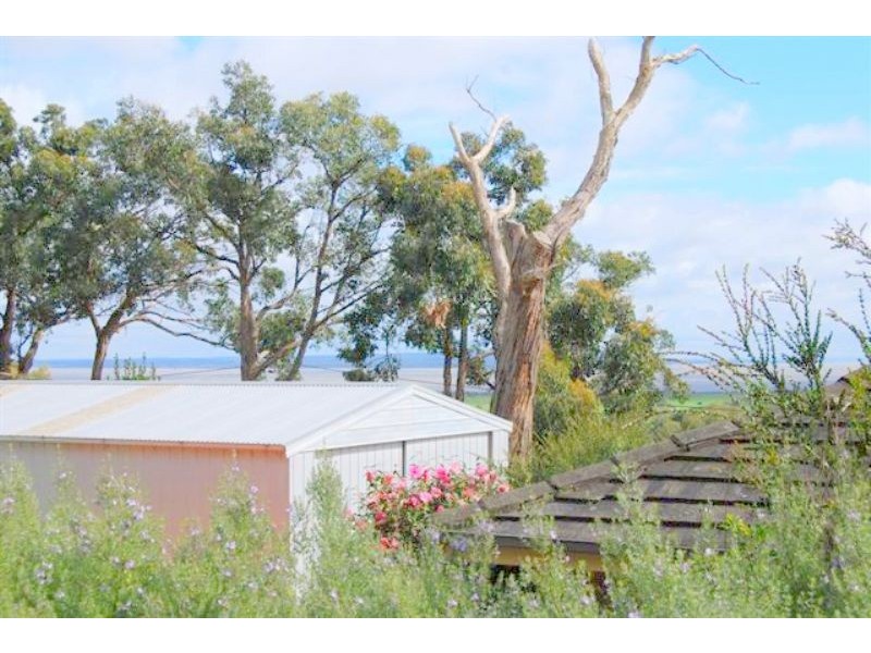 The Gurdies VIC 3984