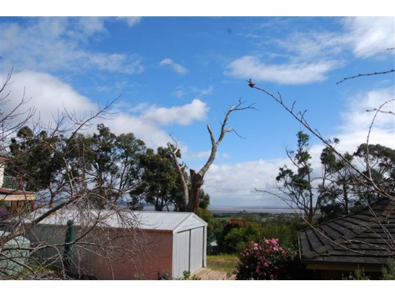 The Gurdies VIC 3984