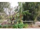 Grantville VIC 3984