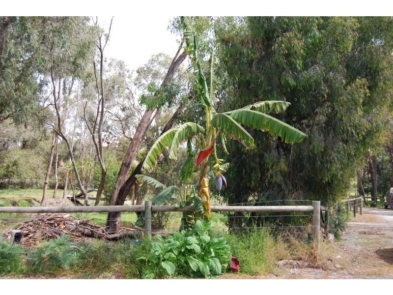 Grantville VIC 3984