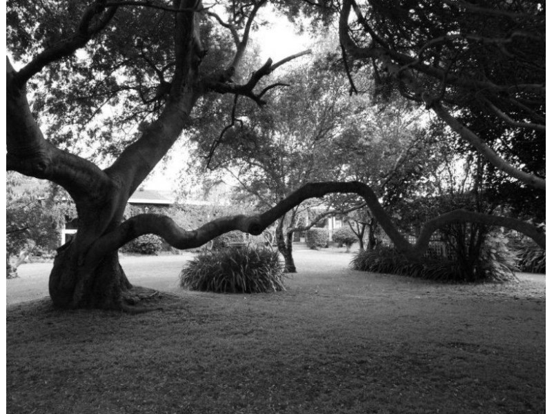 Tarwin Lower VIC 3956