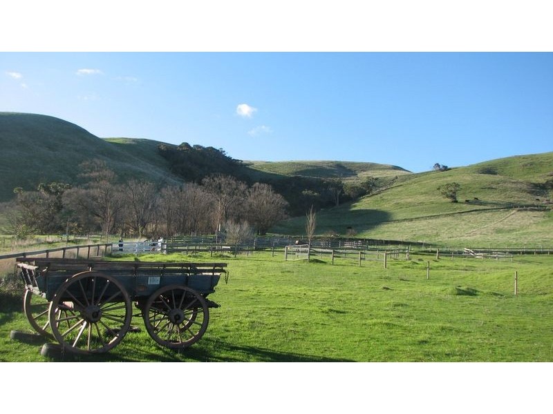 Woolamai VIC 3995