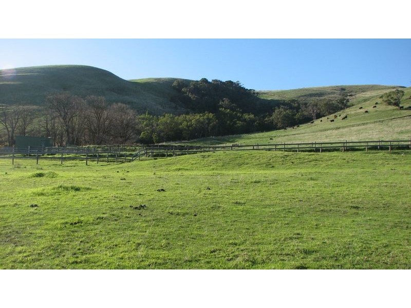 Woolamai VIC 3995