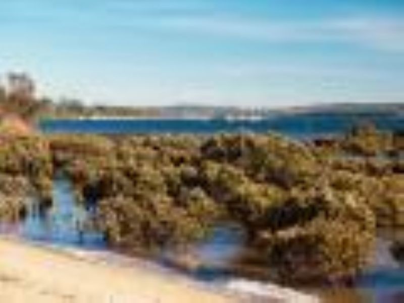 Pioneer Bay VIC 3984