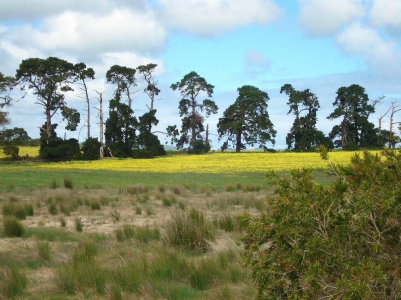 Coronet Bay VIC 3984