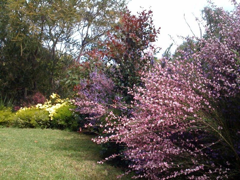 Coronet Bay VIC 3984