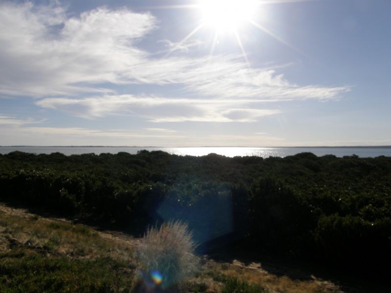 Pioneer Bay VIC 3984