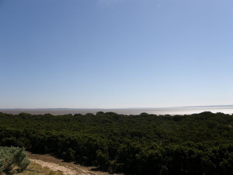 Pioneer Bay VIC 3984