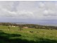 Grantville VIC 3984