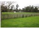 Longwarry VIC 3816