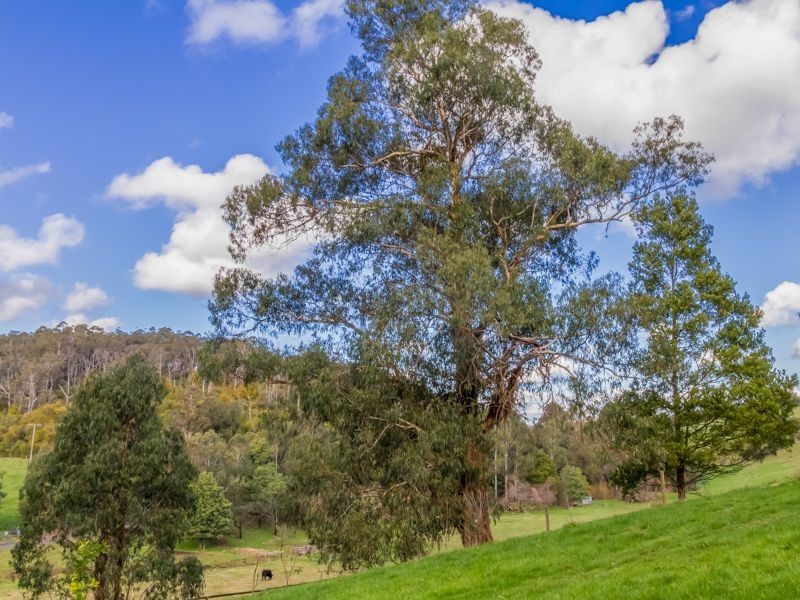 Neerim South VIC 3831