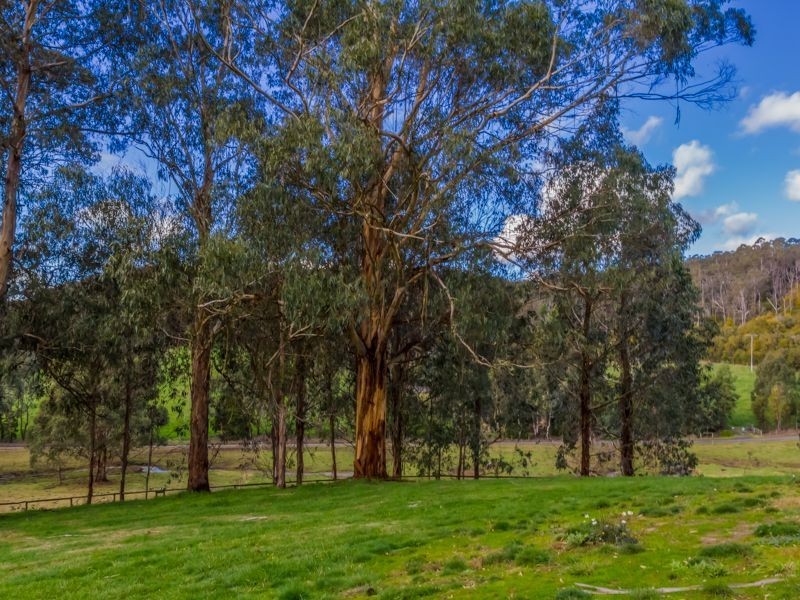 Neerim South VIC 3831