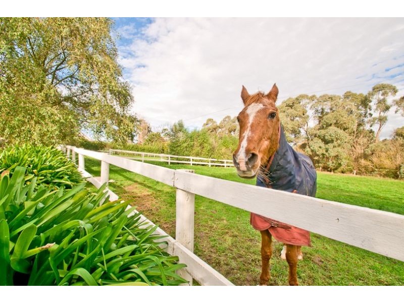 6 Robyn Court, Drouin VIC 3818