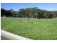 Lot 91 Bushy Park Court, Drouin VIC 3818