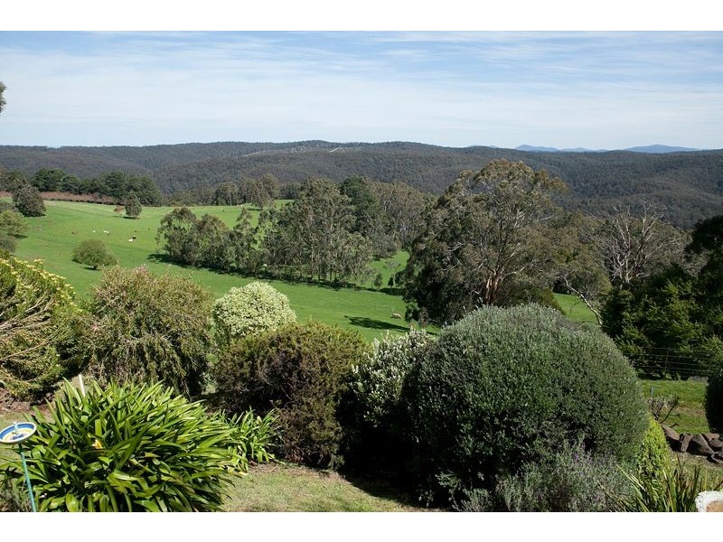 385 Duggan North Road, Fumina VIC 3825