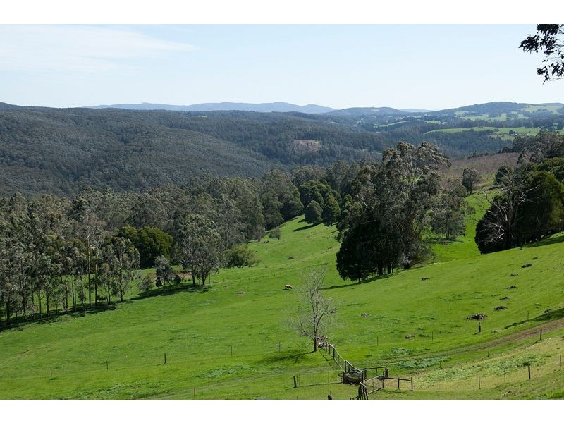 385 Duggan North Road, Fumina VIC 3825