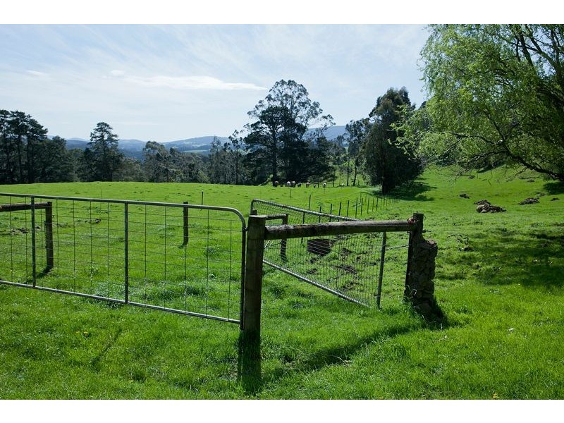 385 Duggan North Road, Fumina VIC 3825