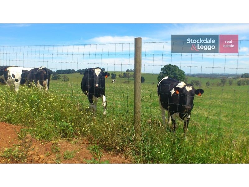 6 Heyington Place, Drouin VIC 3818