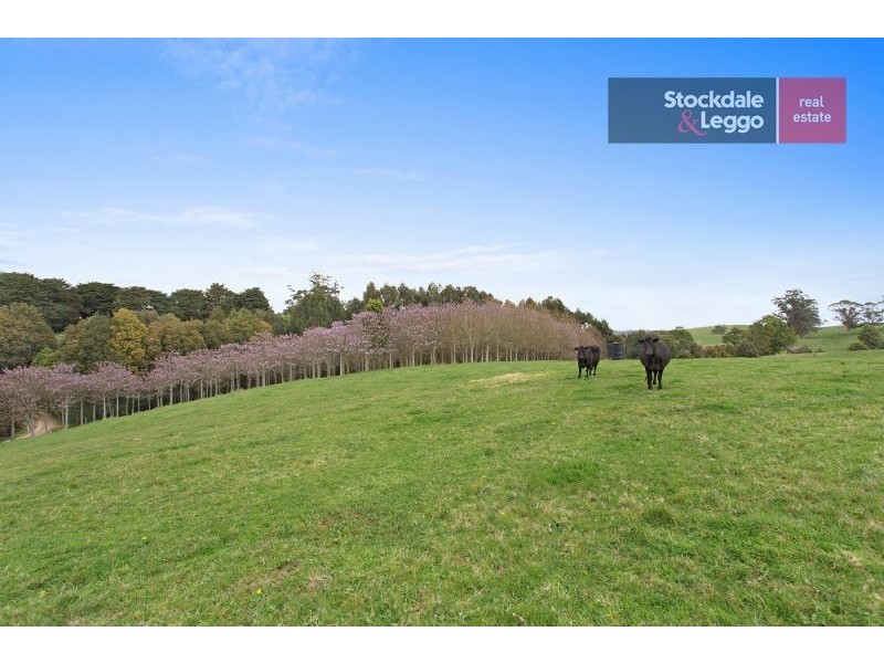 154 Ferndale Road, Ferndale VIC 3821