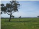 Bunyip VIC 3815