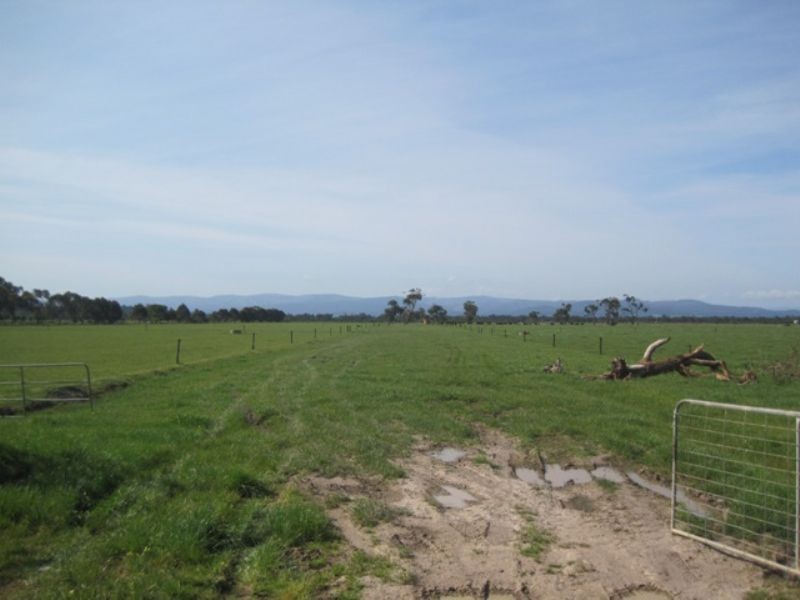 Bunyip VIC 3815