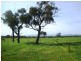 Bunyip VIC 3815