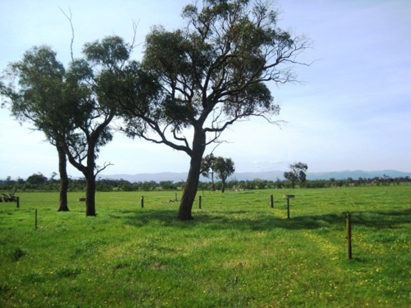 Bunyip VIC 3815