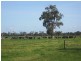 Bunyip VIC 3815