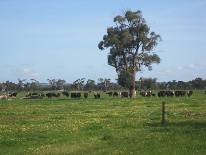 Bunyip VIC 3815