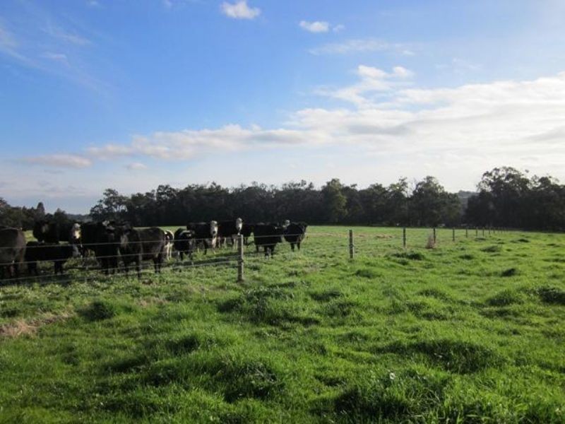 Warragul VIC 3820