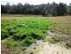 Warragul VIC 3820