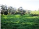 Ripplebrook VIC 3818