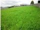 Warragul VIC 3820