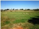 Drouin VIC 3818