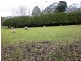 Warragul VIC 3820