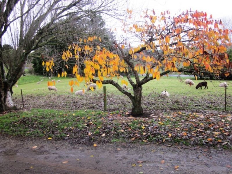 Warragul VIC 3820